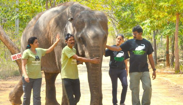 Slide
